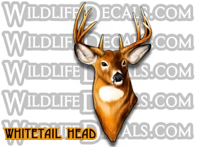 Realistic Whitetail Deer Head Wall Decal 1