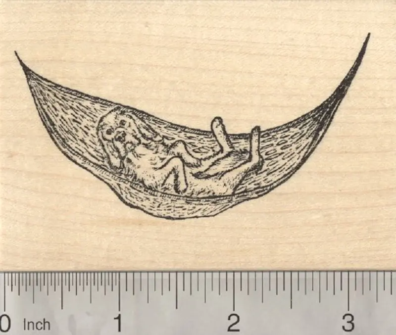 Relaxed Dog In Hammock Rubber Stamp – Laid-Back Summer Vibe 1