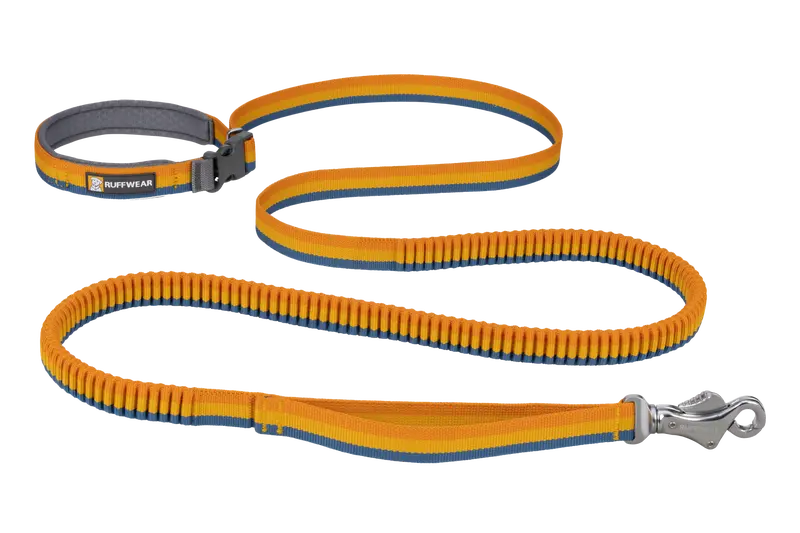 Roamer™ Bungee Dog Leash For Shock Absorption 3