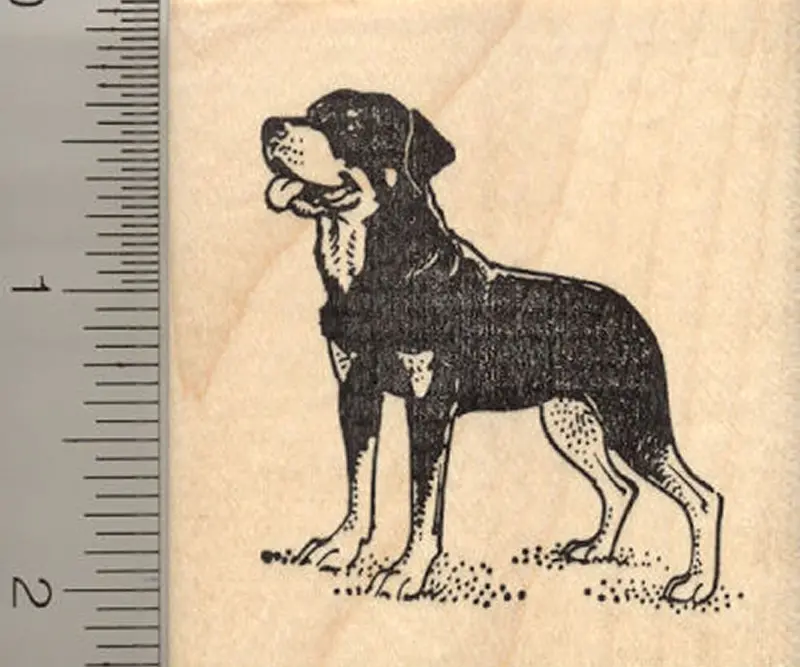 Rottweiler Breed Portrait Rubber Stamp 1