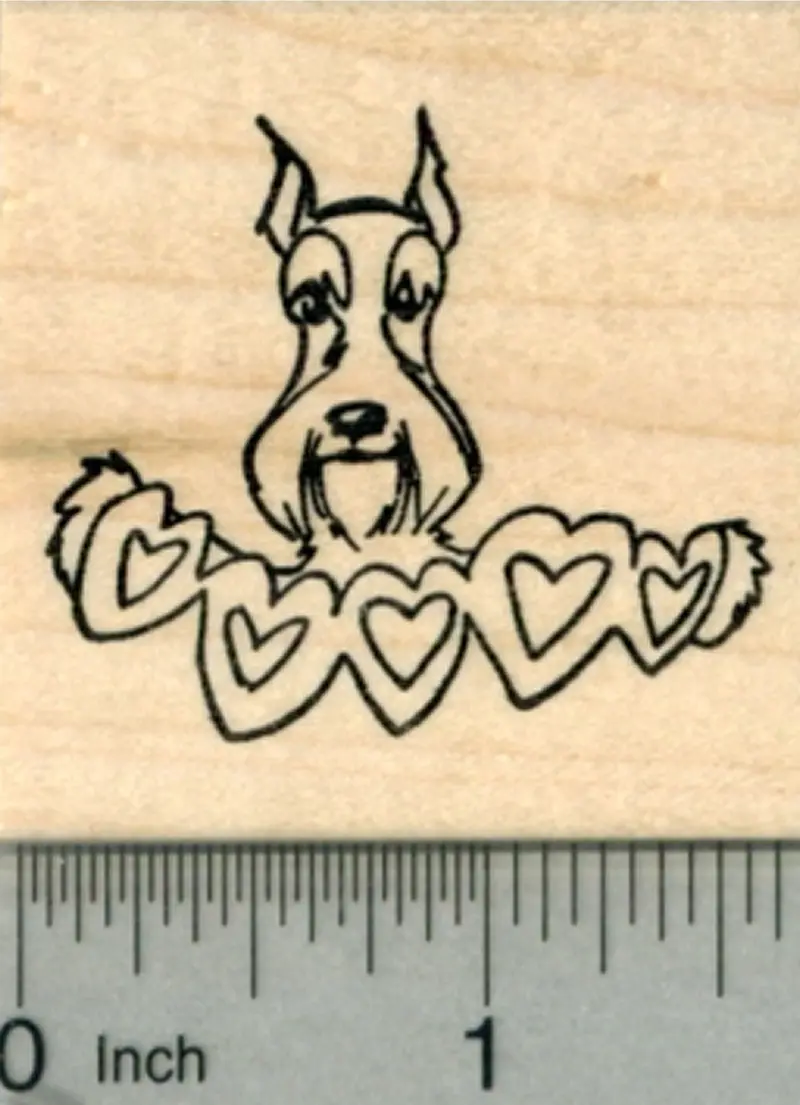 Schnauzer Valentine’S Rubber Stamp – Playful Dog With Heart Motifs 1