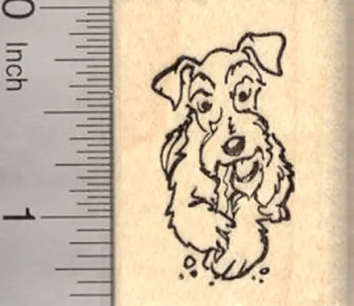 Schnauzer With Chew Toy Rubber Stamp – Natural Ears Edition 1