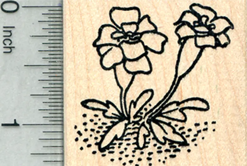 Single Marigold Stamp – Bold Summer Bloom Illustration 1