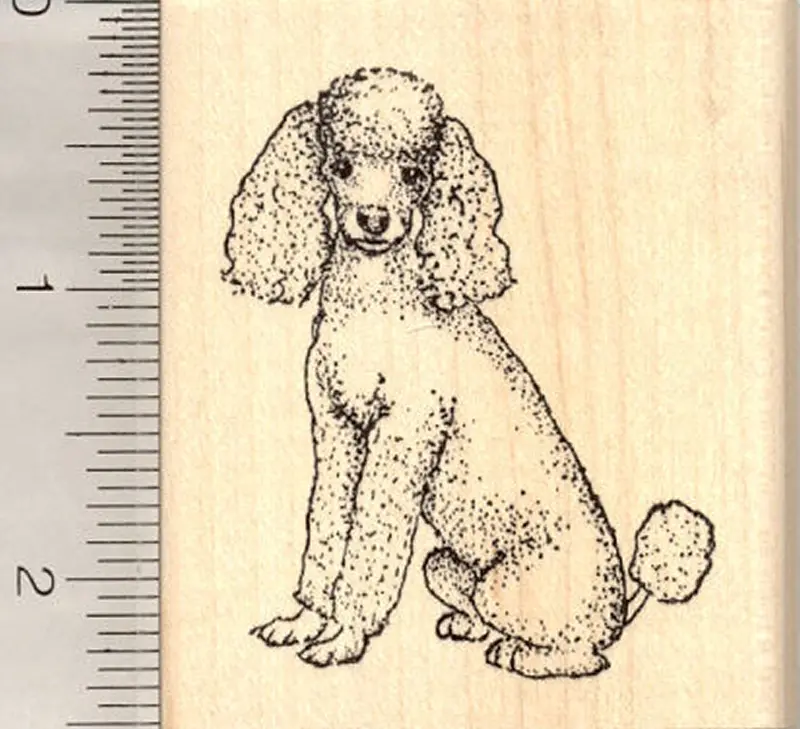 Sitting Poodle Rubber Stamp – Hand-Crafted Pet-Themed Art Stamp 1