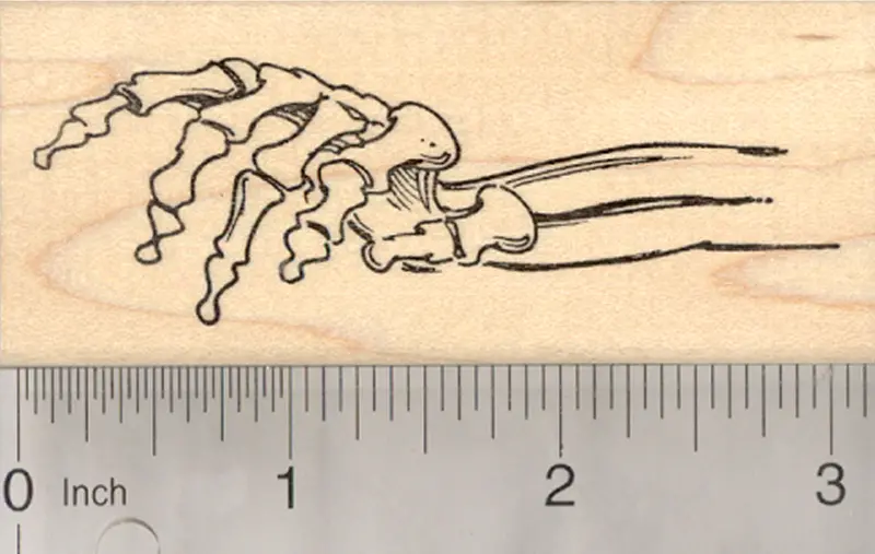 Skeleton Hand Halloween Rubber Stamp – Bony Arm Reaching Out 1