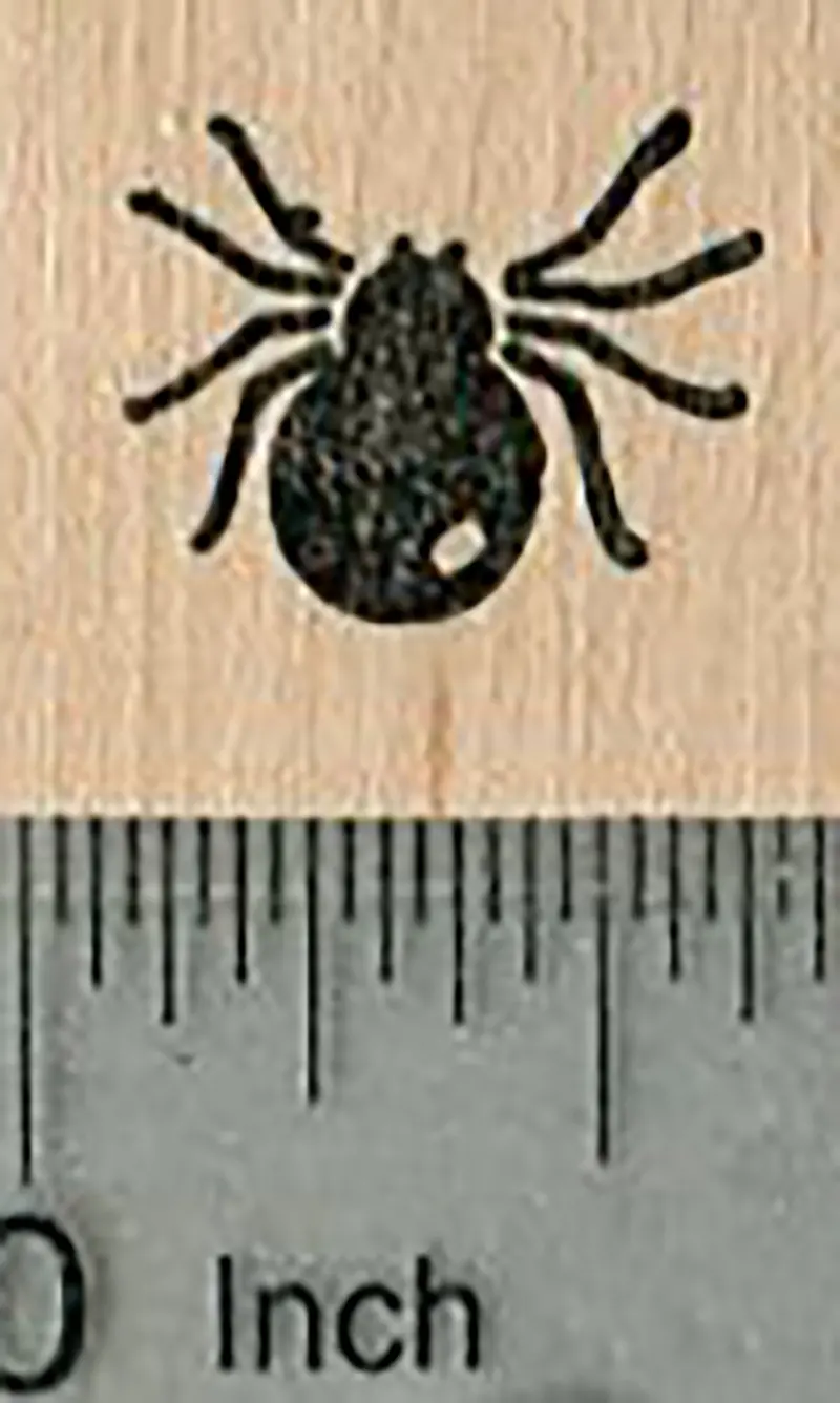 Small Crawling Spider Rubber Stamp — Festive Halloween Decorative Stamp 1