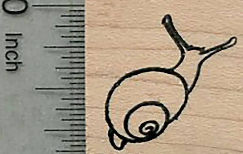 Snail Illustration Rubber Stamp — Nature-Inspired Craft And Journaling 1