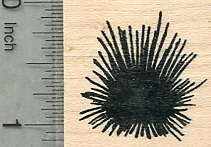 Spiky Sea Urchin Rubber Stamp – Textured Deep-Sea Creature Design 1