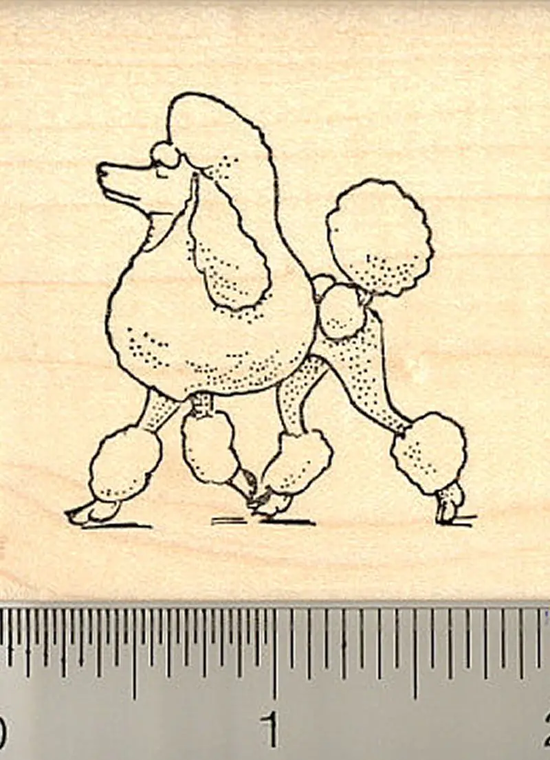 Stylized Poodle Dog Rubber Stamp For Pet Lovers 1