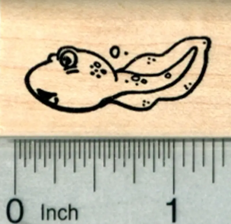 Tadpole Illustration Rubber Stamp 1