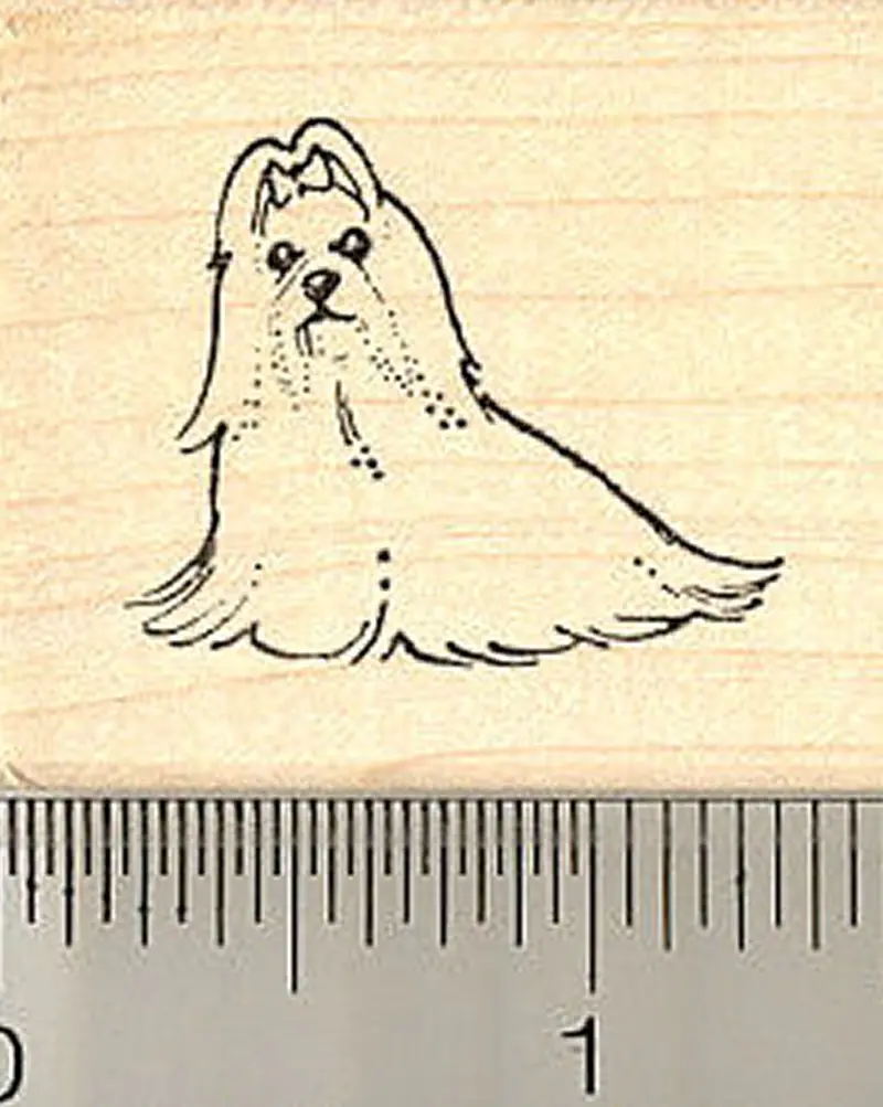 Tiny Maltese Dog Portrait Rubber Stamp 1