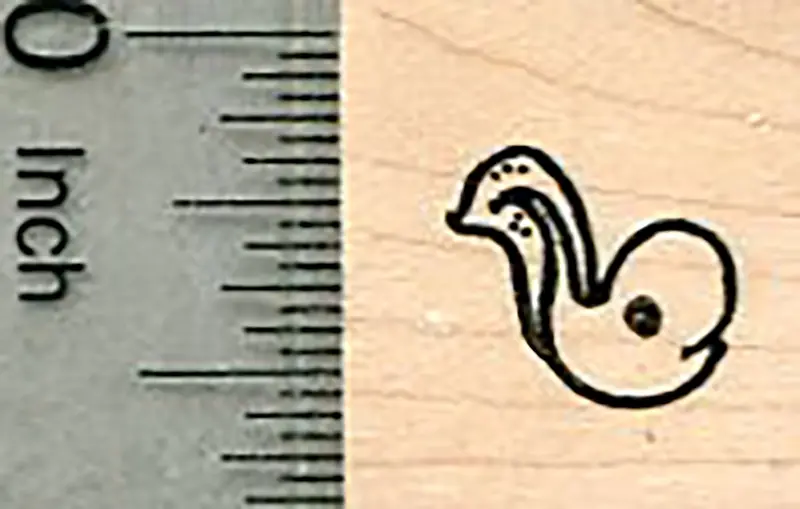 Tiny Tadpole Rubber Stamp — Life Cycle Of Frogs Educational Tool 1