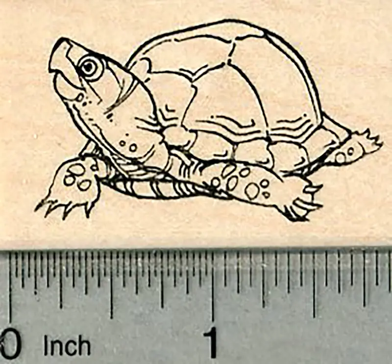 Turtle & Tortoise Rubber Stamp – Nature-Inspired Reptile Design 1