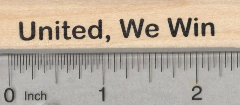 'United We Win' Voting Rubber Stamp 1