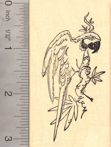 Vibrant Macaw Parrot Bird Rubber Stamp 1