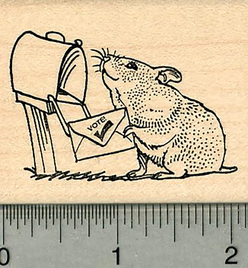 Vote By Mail Rubber Stamp – Cheerful Hamster At A Mailbox 1