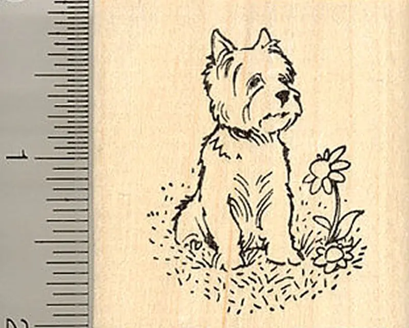 West Highland Terrier Rubber Stamp – Scottish Terrier Outline 1