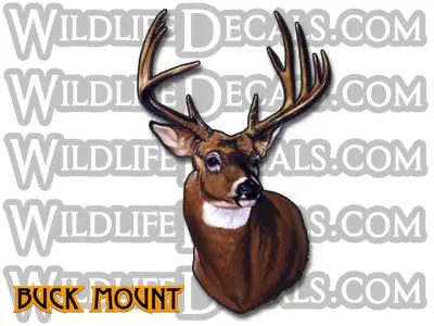 Whitetail Buck Shoulder Mount Vinyl Decal For Vehicles And Walls 1