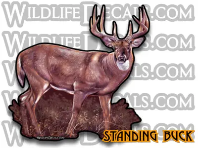 Whitetail Deer Standing Decal – Realistic Wildlife Vinyl Sticker 1